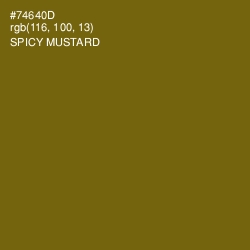 #74640D - Spicy Mustard Color Image